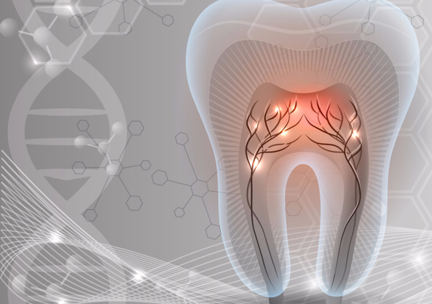 Staminali dal dentista